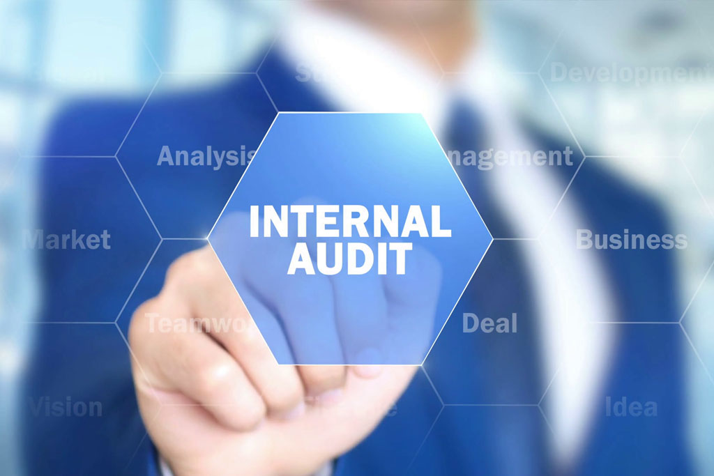 Internal Audits